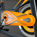 Bicicleta Spinning Trainer Alpine 8500